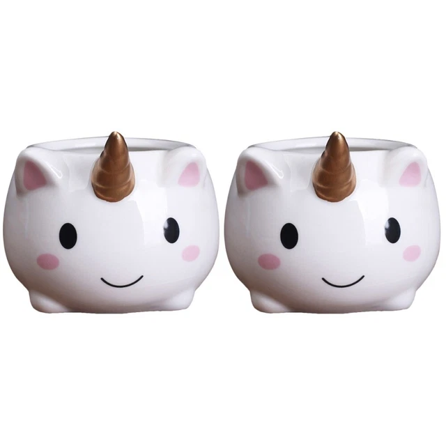 2 Pcs Mini Pot De Fleurs Jardinière Succulente Dessin Animé
