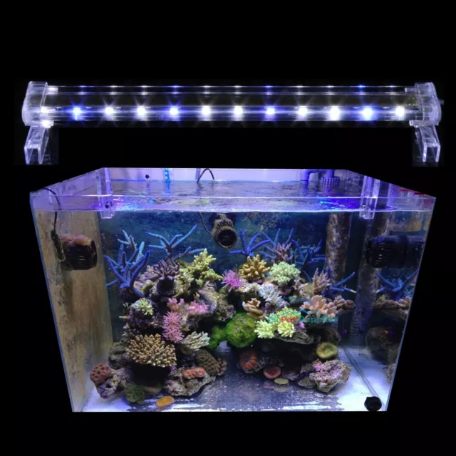 Aquarium Light HIGH LUMEN 20" White Blue 0.50W Crystal LED Fish Marine FOWLR