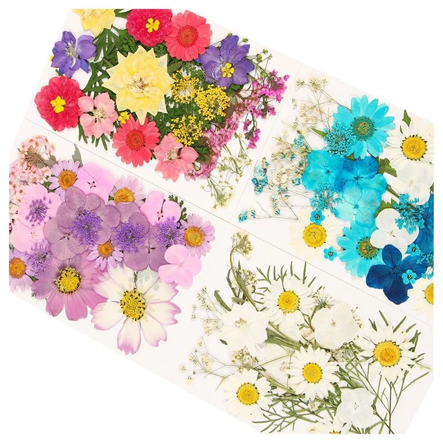 Decoración facial de arte de uñas consejos para manicura flor seca real