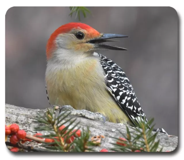 Red-Bellied Woodpecker ~ Mouse Pad / Mousepad ~Bird Watching Feeder Birding Gift