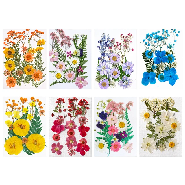 DIY Real Dried Flowers Resin Mold Fillings for Nail Art Jewelry Making Crafts FS