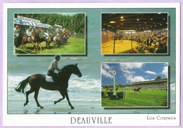 CPM Multivues DEAUVILLE - Courses Hipiques, A4007 Le Goubey, Non écrite, 2000's