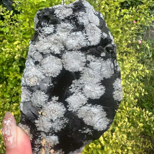 904g Natural Snowflake Obsidian Rough Stone Specimen Mineral Crystal Healing