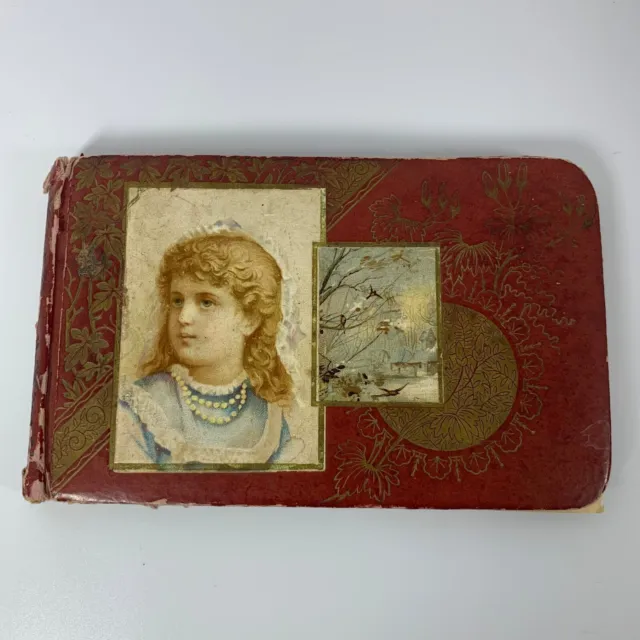 Antique 1886 Red Beautiful Girl Cover Memorabilia Old Autograph Album Ephemera