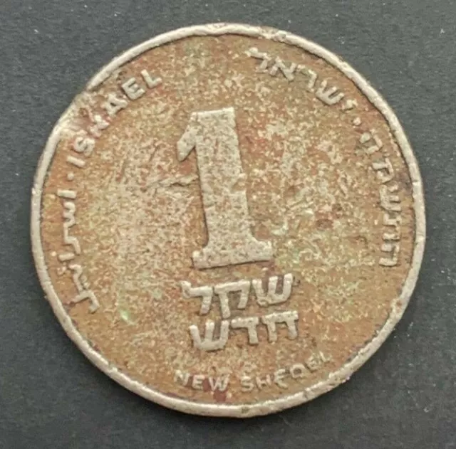 Israel 1 new Sheqel Coin - SCARCE - FREE P&P