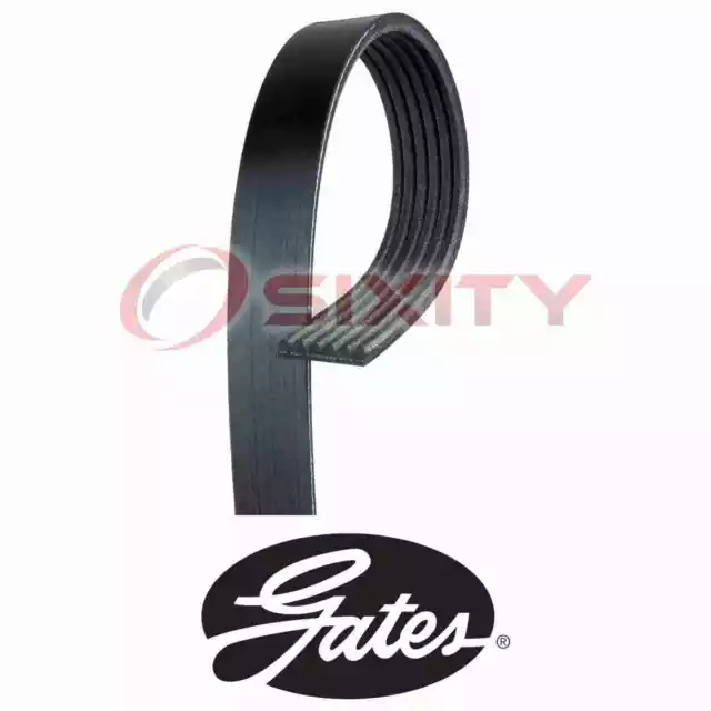 For Dodge Durango GATES MICRO-V Serpentine Belt 4.7L V8 2000-2003 pe