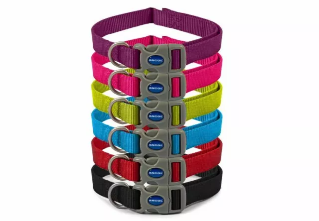 Ancol Viva Nylon Adjustable Dog/Puppy Collar