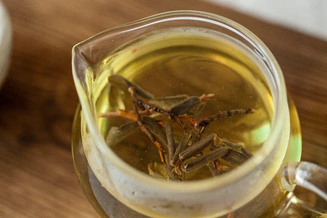 TRADITIONAL SAGAN DALYA Tea Drink Siberian Organic Rhododendron Adamsii ...