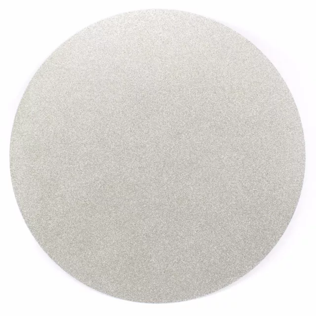 10" inch Grit 80 Nonporous Diamond Grinding Disc Coated Flat Lap Disk Lapidary