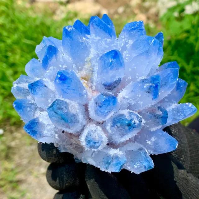 467G New Find sky blue Phantom Quartz Crystal Cluster Mineral Specimen Healing 3
