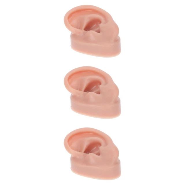 3 Pcs Simulation Ohrmodell Ohrform Für Den Unterricht Student Medizinisch Suite
