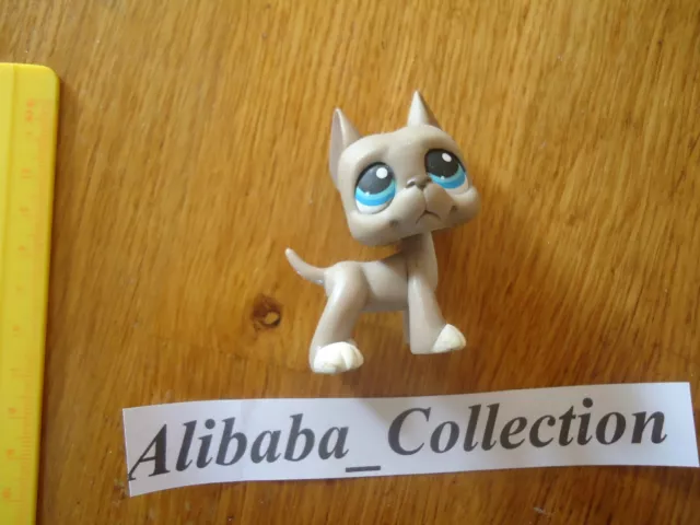 LPS chien dog Dogue Argentin Great Dane 184  LITTLEST PETSHOP PET SHOP HASbro b