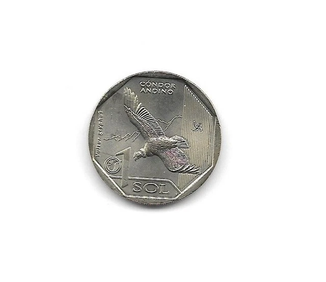 Peru 2017 , Condor Bird , UNC
