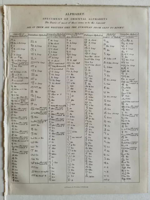 1879 Aufdruck Alphabet Sanscrit Tamulian Lamas Von Thibet Bengalee Birma Grandan