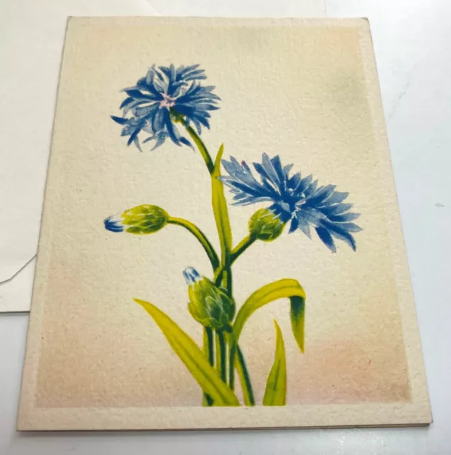 Greeting Note Card Cornflower Flowers Vintage Unused ARS SACRA 5F 571 Blank