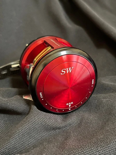 EXCELLENT DAIWA MILLIONAIRE Magservo Baitcasting Reel SS-20AC