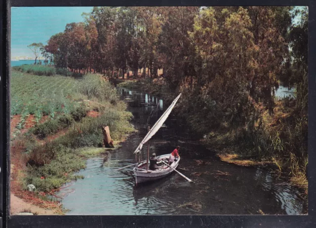 Cartolina Siracusa Ontani Lungo il Corso del Ciane UH184