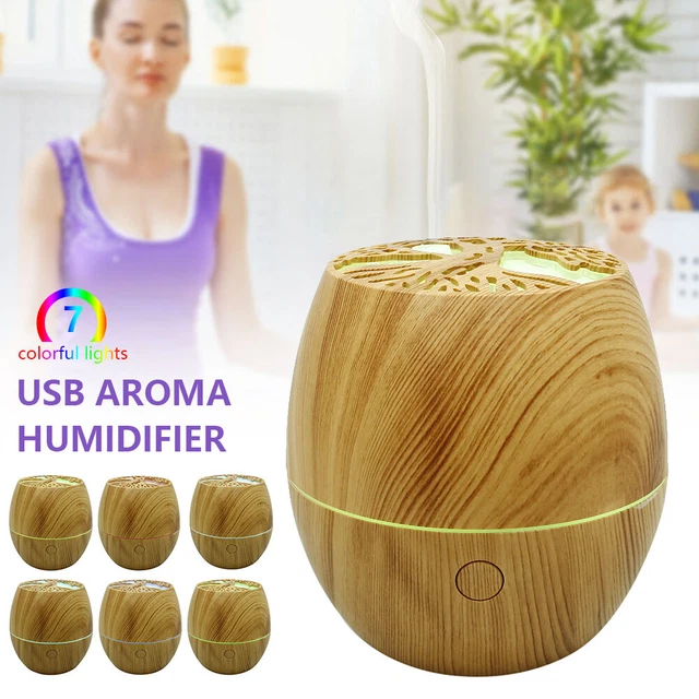 Portable USB Mist Maker Diffuser Air Purifier Wireless Ultrasound Desktop New