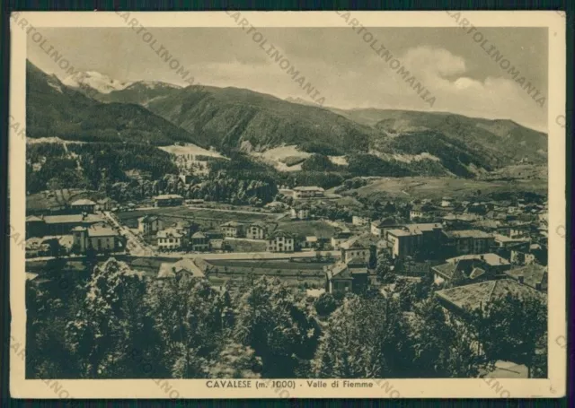 Trento Cavalese Valle di Fiemme FG cartolina VK2790