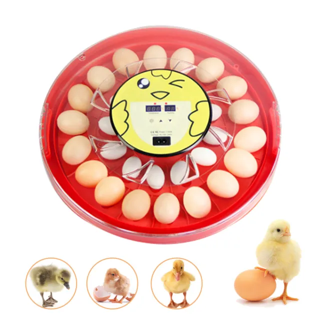 Digital 30-Egg Incubator Chicken Quail Hatcher Incubators for Hatching Eggs 110V