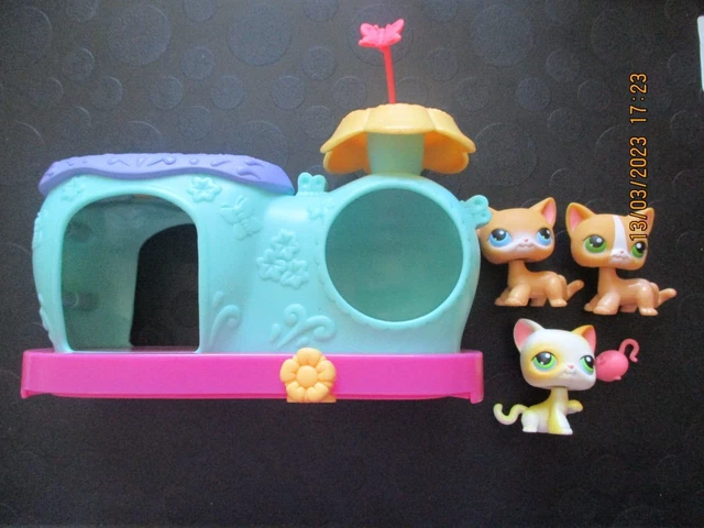 10 CUSTOM~ LPS petshop guépard - chat européen - YouTube