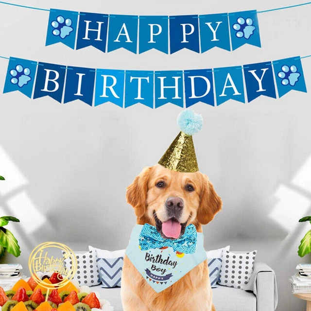 2023 Lo último Nuevo - Perro Cumpleaños Bandana Sombrero Bufanda Set Perro Cumpleaños Fiesta Suministros