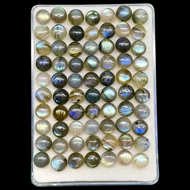 100 Stück Natürlich Labradorite 7mm Rund Flashy Cabochon Edelsteine Großhandel