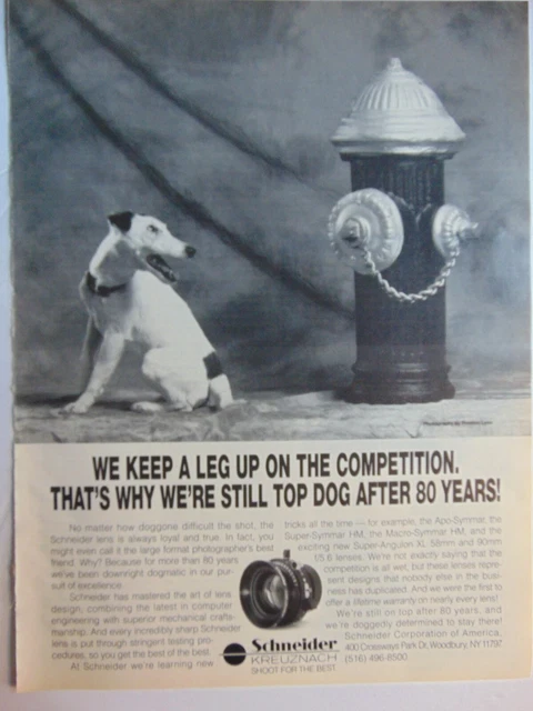 1992 SCHNEIDER CAMERA LENS DOG FIRE HYDRANT  vintage art print ad