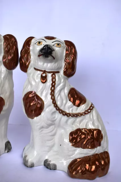 Antik Paar Von Staffordshire Kupfer Luster Hunde Mit Getrennt Beine Wider Old ' 3