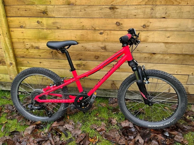 Specialized hotrock 24 2020 kids mountain bike discount