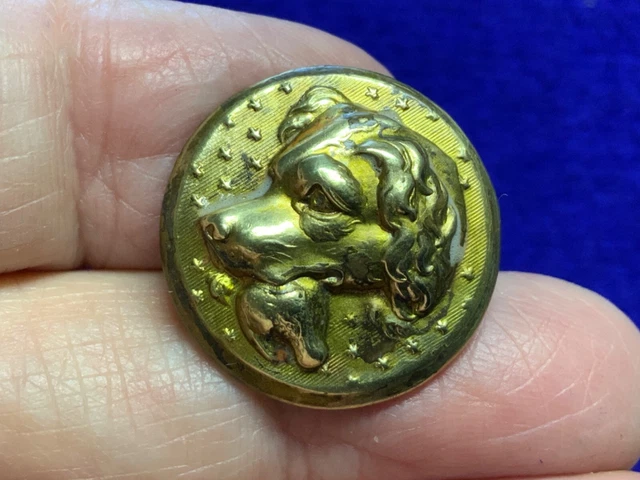 WATER SPANIEL HUNTING DOG w BIRD RAISED BRASS SPORTING BUTTON 23mm c 1830-45