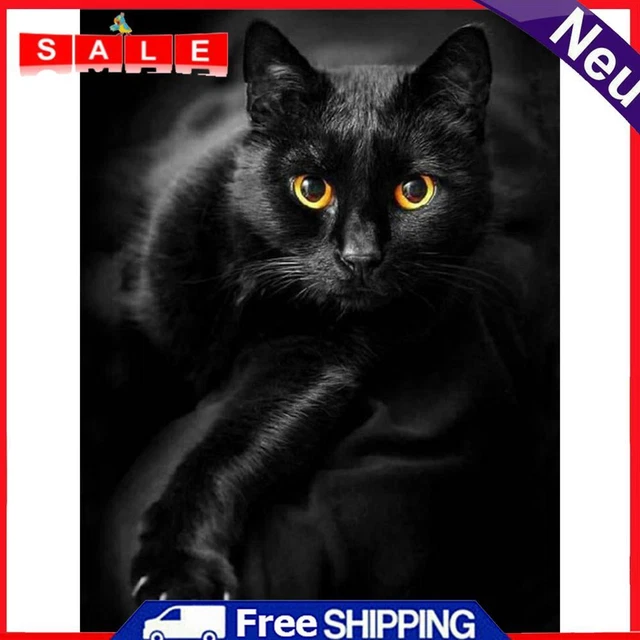 5D Diamond Painting Kit DIY black cat Full Round Drill Mosaic(HJ499)
