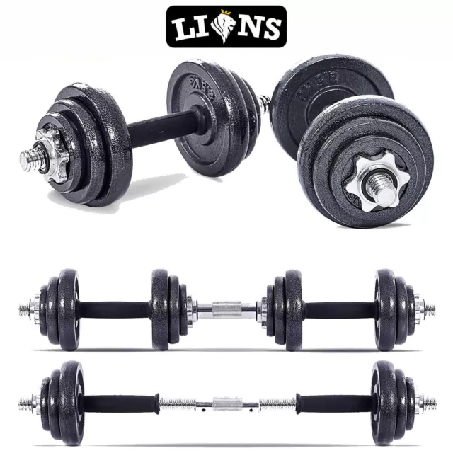 20kg Cast Iron Dumbbell Set Gym Free Weights Biceps Gym Workout Training Fitness