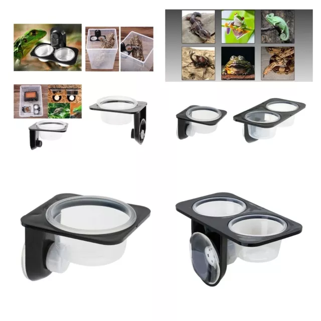 Pet Reptile  Gecko Food Water Bowls Anti-escape Dish for Small Reptiles