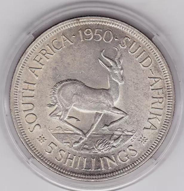 Very  Sharp  1950 South Africa  5  Shillings - Silver  (80%)  'Springbok'  Coin