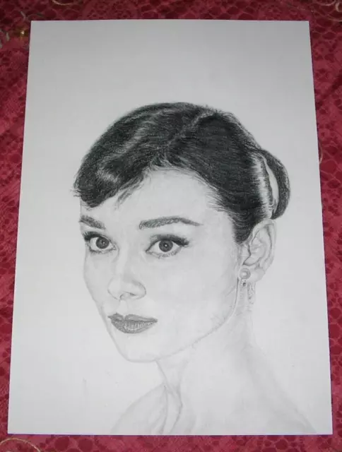 Disegno Matita E Carboncino 33X48 - Audrey Hepburn - Bellissimo!