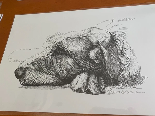Irish Wolfhound Head Study of a Adult  Ltd Edition Print 11x17 By Van Loan