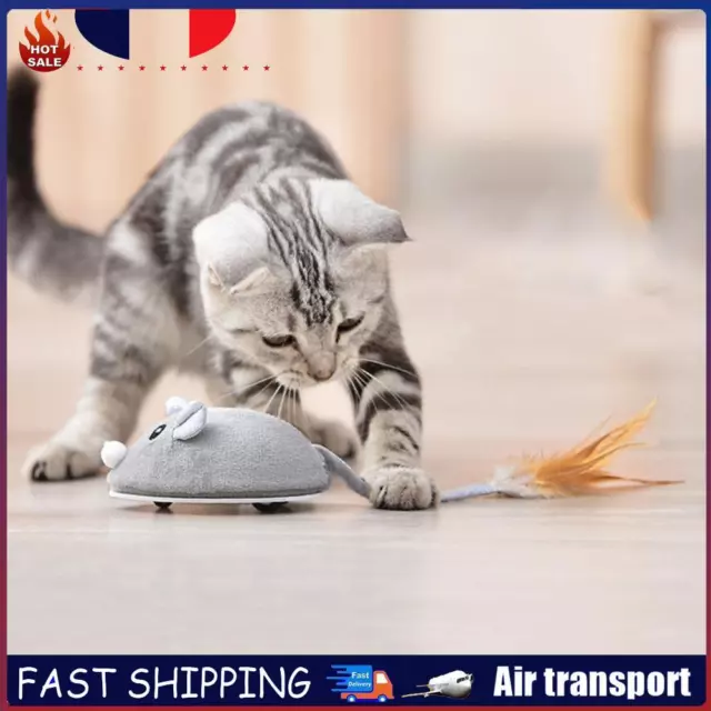 Intelligent Cat Teaser Automatic Sensing Realistic Mini Mice Toy for Cats Kitten