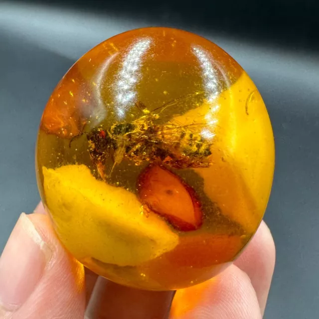 Genuine Find Antique Baltic Rare Phenolic Amber With Bee Inside Egg