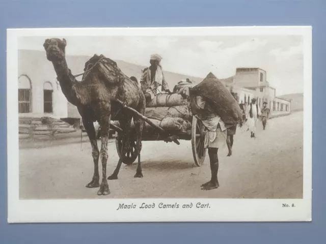 Aden Maala Ladung Kamele & Wagen (ägyptische Zigarettenfabrik, Lehem & Co.) Postkarte