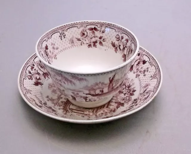 Staffordshire Mulberry Handleless Tea Cup & Deep Bowl Saucer, Japonica, Ridgway