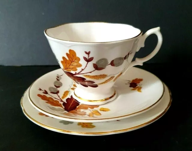 Coronet Bone China Tea Trio (Cup, Saucer, Plate) in an Oak Leaf & Acorn Pattern