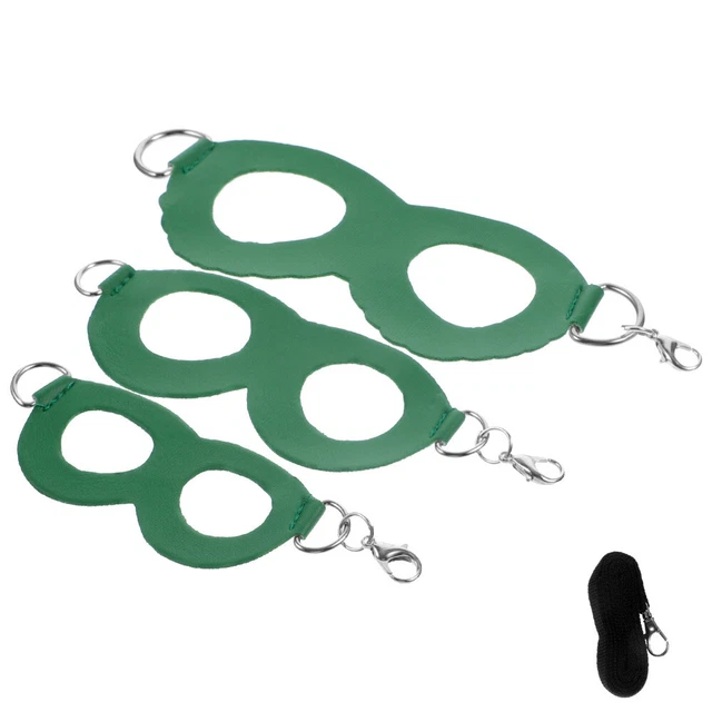 Guinzaglio Dell'imbracatura Della Lucertola Cintura Accessori