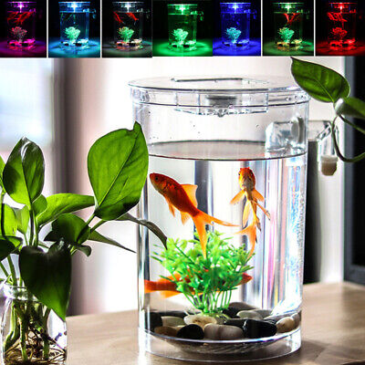 Creative Ecology Mini  LED Fish Tank Luminous Glass Tank Aquarium Fish Tank