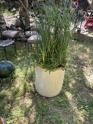 RARE 30 GALLON Antique Crock $120.00 - PicClick