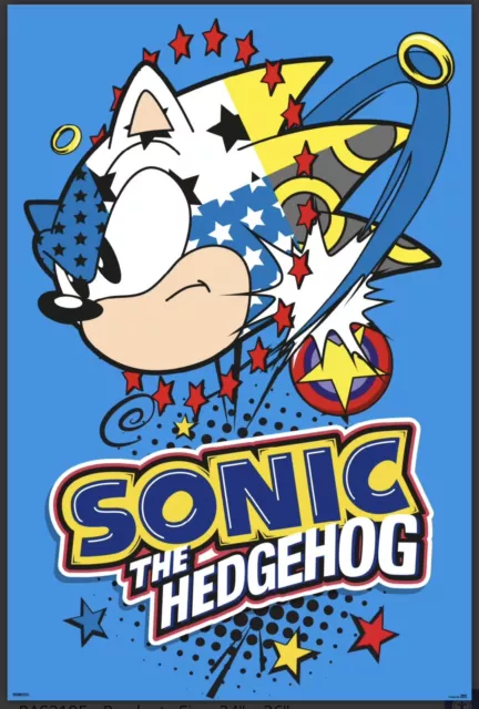 Sonic The Hedgehog Pop Art 24X36 Poster Sega Video Games Gaming Classic Tails!!!