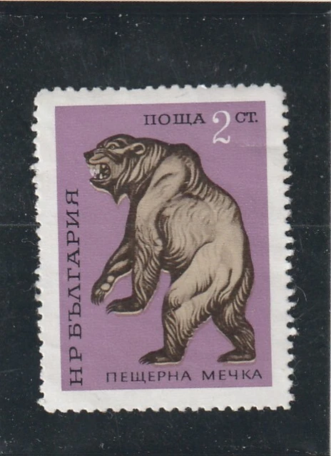 L5826 BULGARIE Timbre N° Y&T 1861 de 1971 " Ursus spelaeus" Neuf NSG