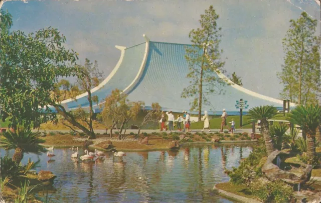 SAN DIEGO, CALIFORNIA - Sea World - ARCHITECTURE - swans $8.50 - PicClick