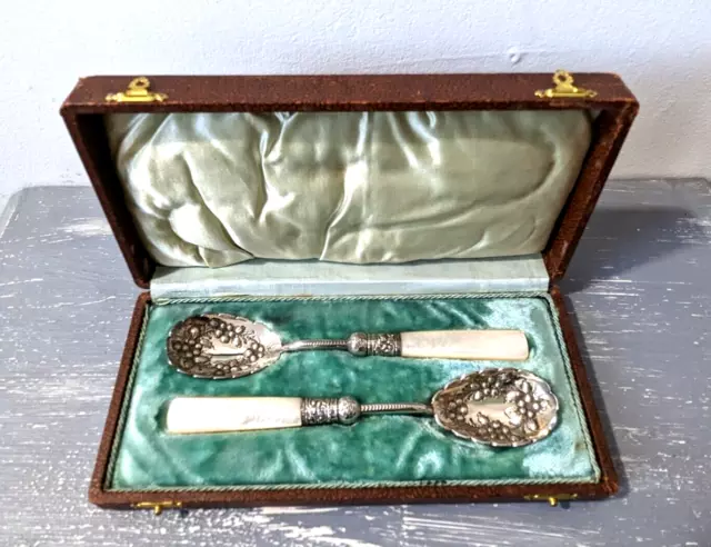 Cuillères anciennes nacre & métal argenté ? à baies caviar? Old spoons