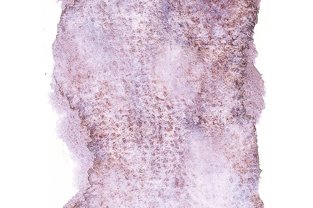 Acuarelas supergranuladas Schmincke Horadam Artists - media sartén rosa tundra